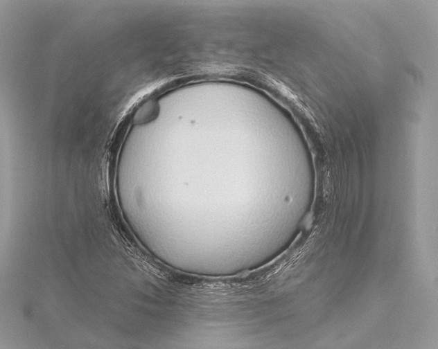 X0000115641214200912011454