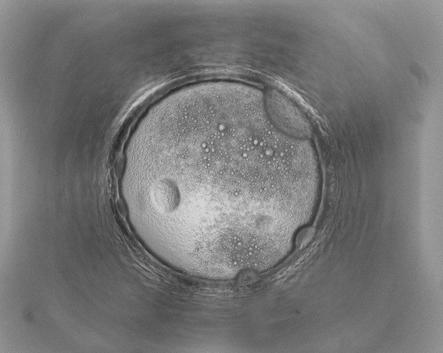 X0000115641215200912011454