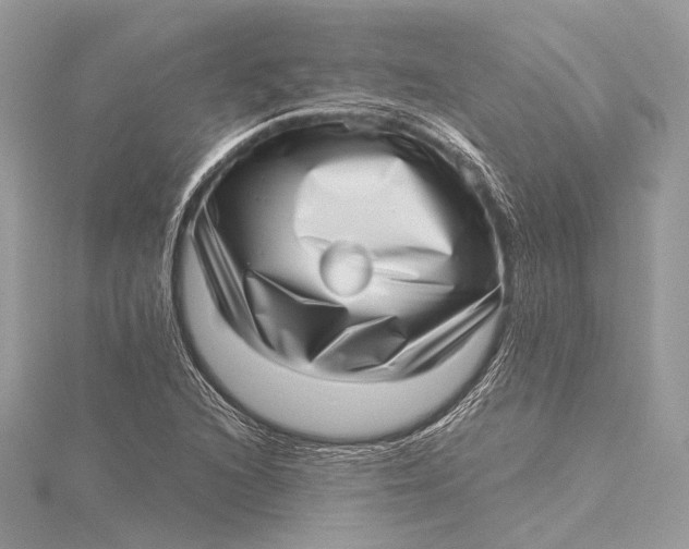 X0000115641216200912011454