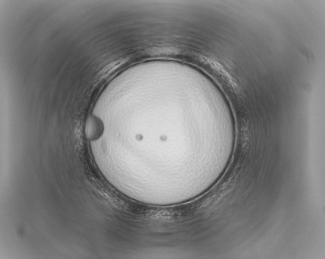 X0000115641217200912011454