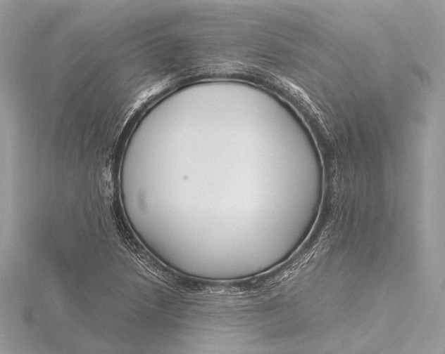 X0000115641218200912011454