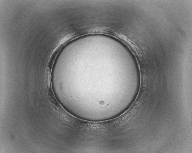 X0000115641219200912011454