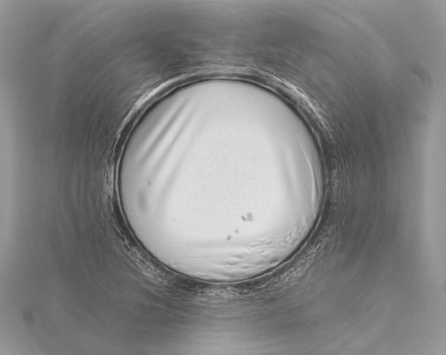 X0000115641220200912011454