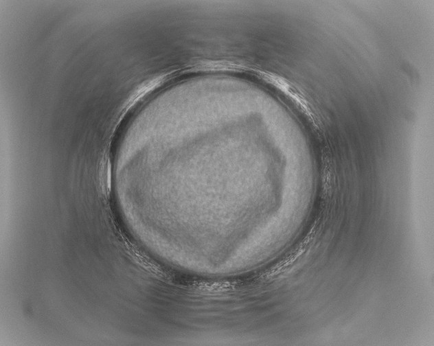 X0000115641221200912011454