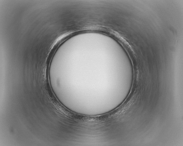 X0000115641222200912011454