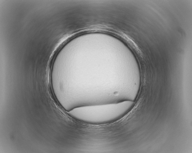 X0000115641224200912011454