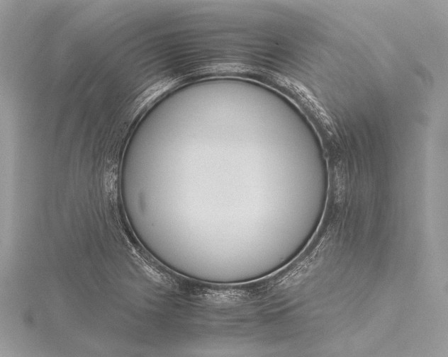 X0000115641225200912011454