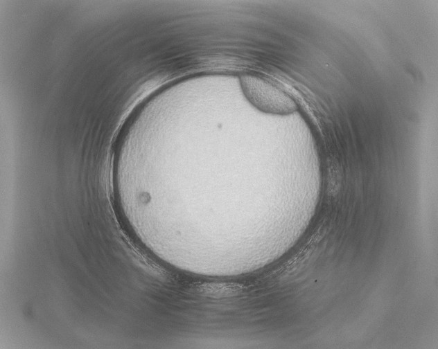 X0000115641227200912011454