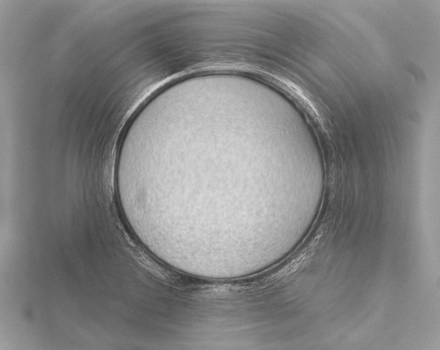 X0000115641228200912011454