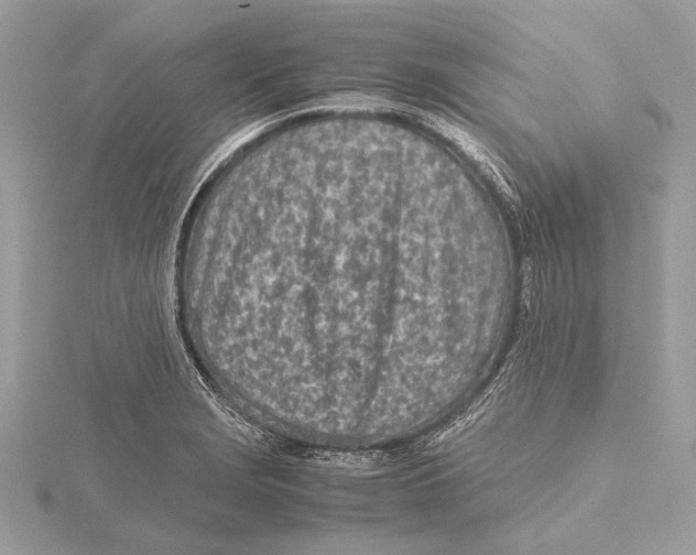 X0000115641229200912011454