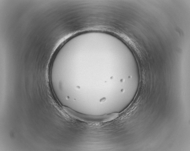 X0000115641230200912011454