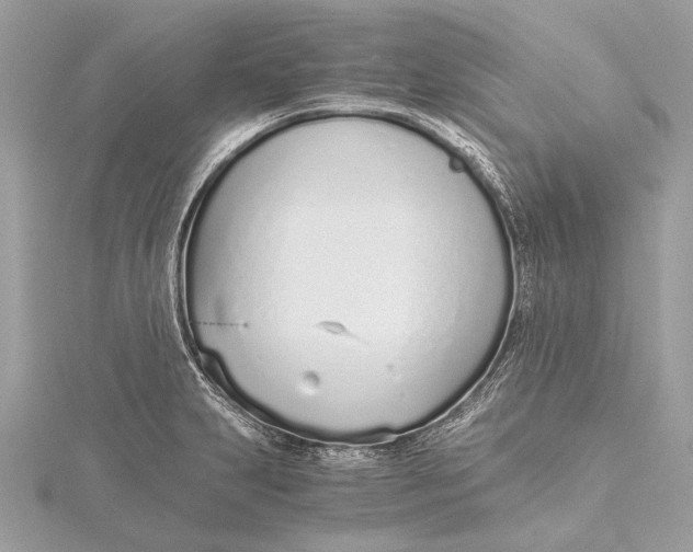 X0000115641231200912011454