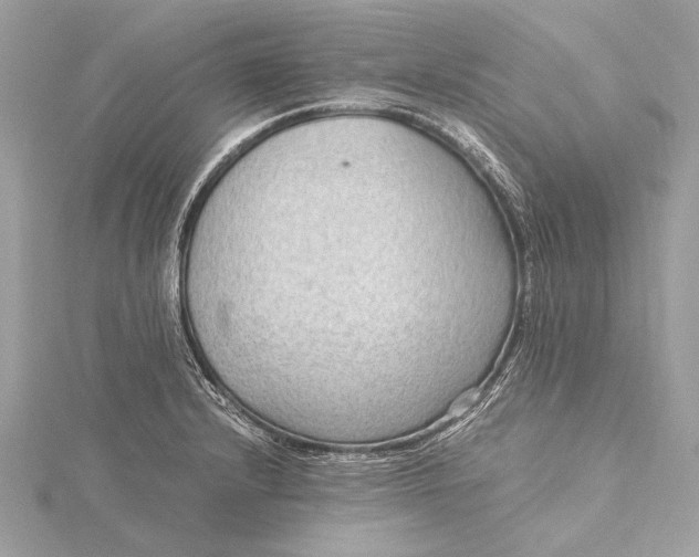 X0000115641232200912011454