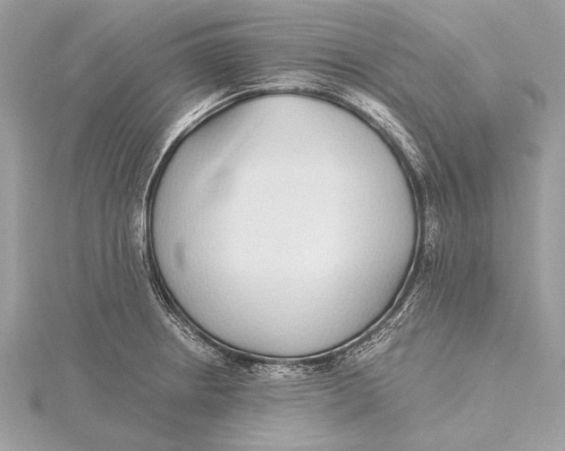 X0000115641234200912011454