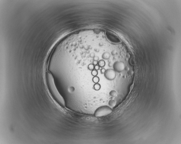 X0000115641235200912011454