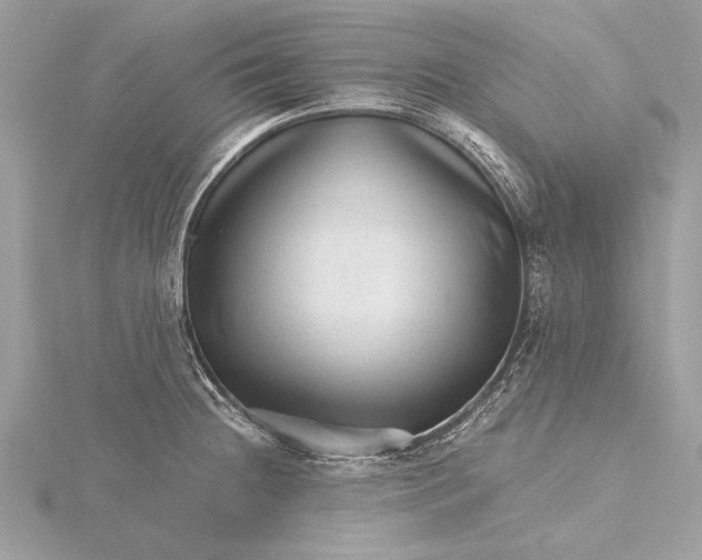 X0000115641236200912011454
