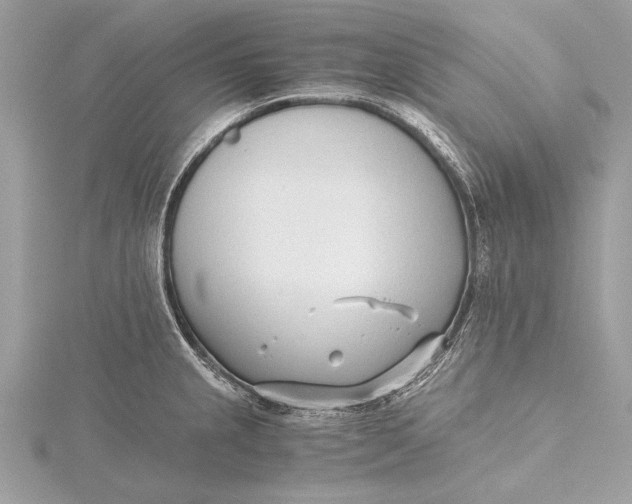 X0000115641237200912011454