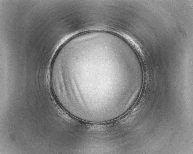 X0000115641238200912011454