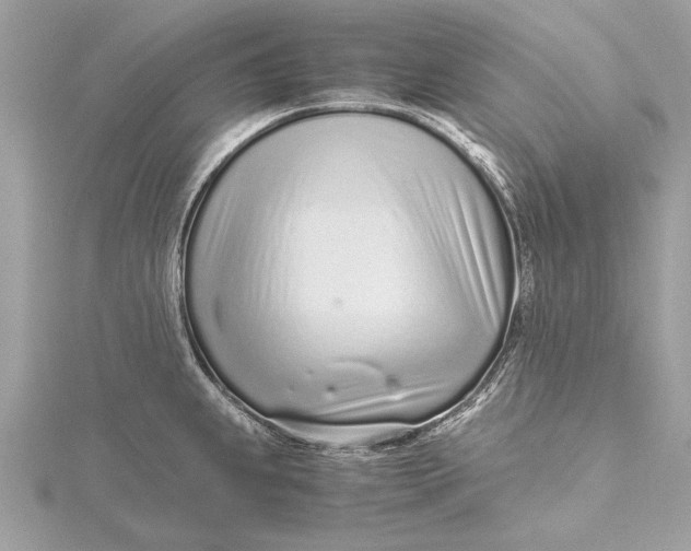 X0000115641239200912011454