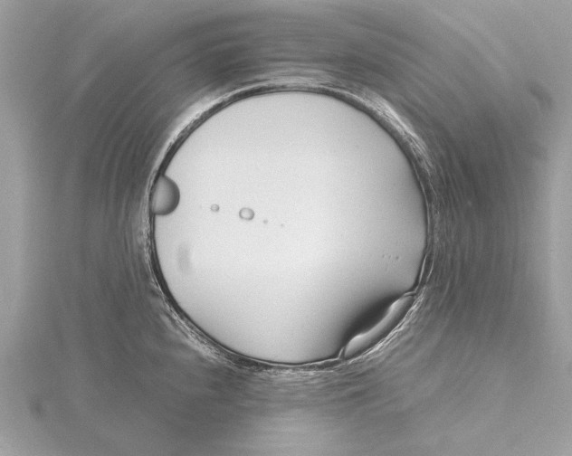 X0000115641240200912011454