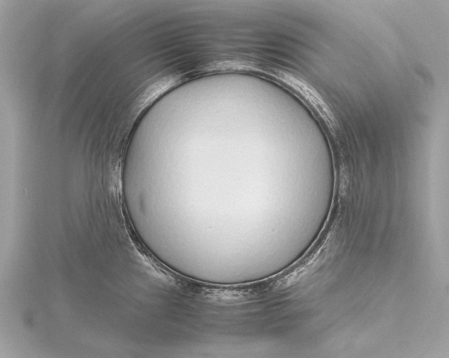 X0000115641241200912011454