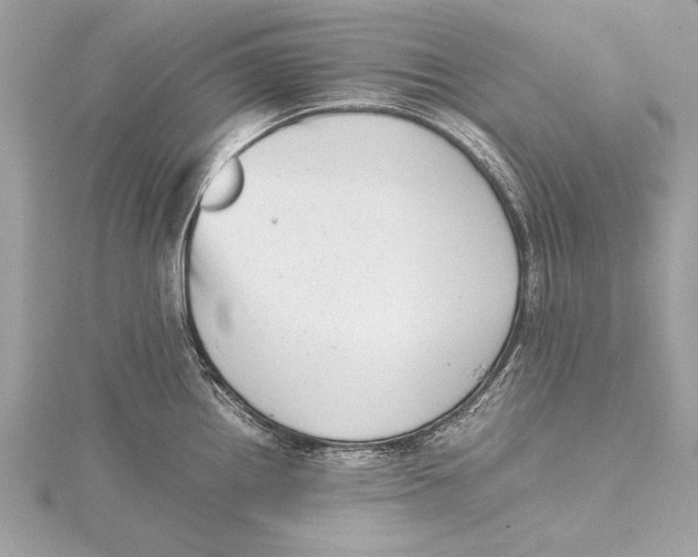 X0000115641242200912011454