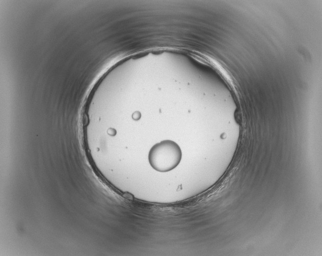 X0000115641243200912011454