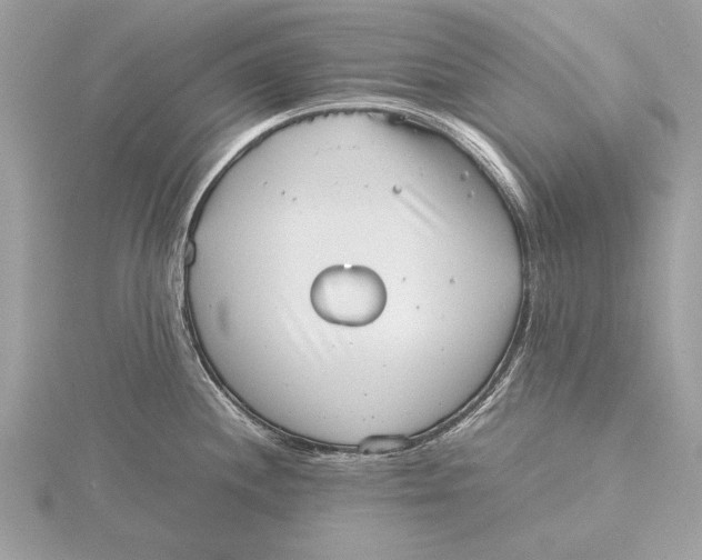 X0000115641244200912011454