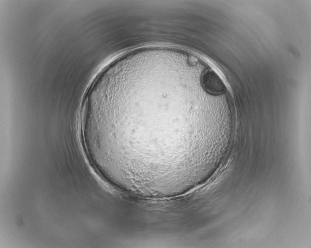 X0000115641245200912011454