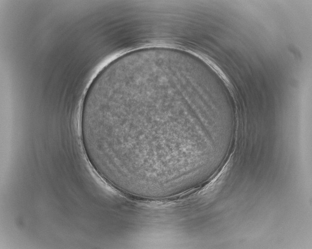 X0000115641246200912011455