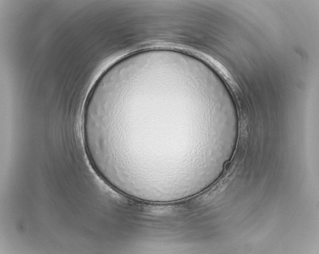 X0000115641247200912011455