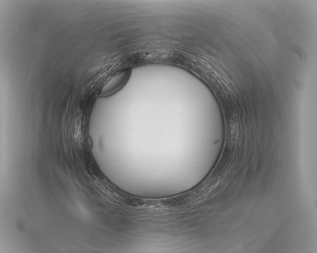 X0000115641250200912011454