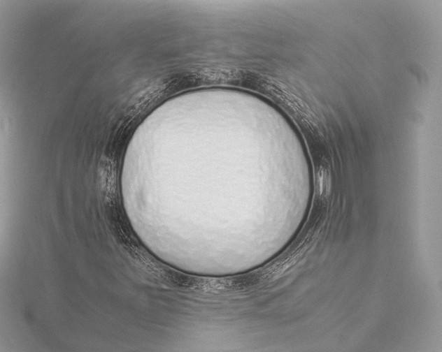 X0000115641251200912011454