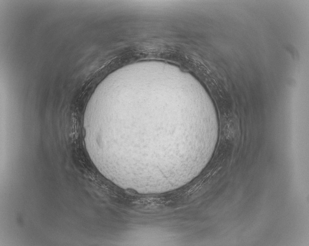 X0000115641253200912011454