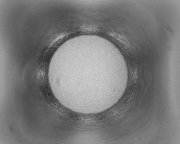 X0000115641254200912011454