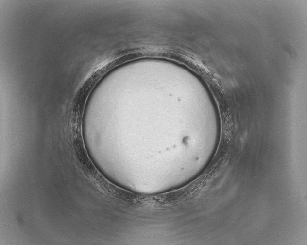 X0000115641255200912011454