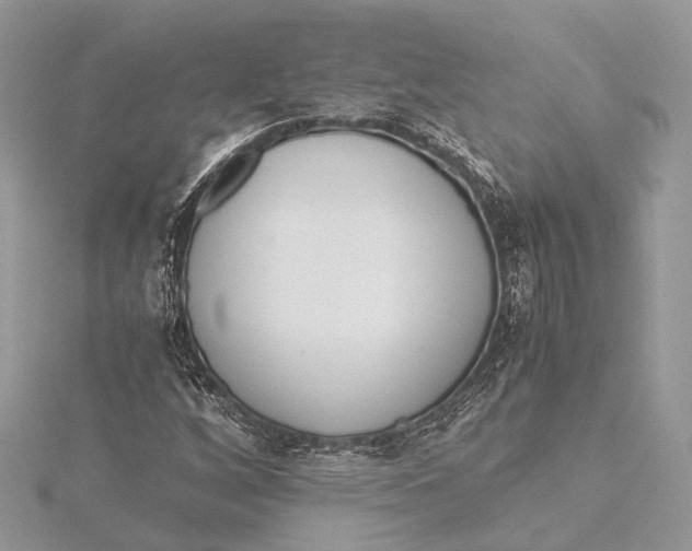 X0000115641256200912011454