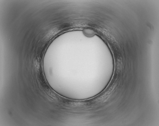 X0000115641257200912011454