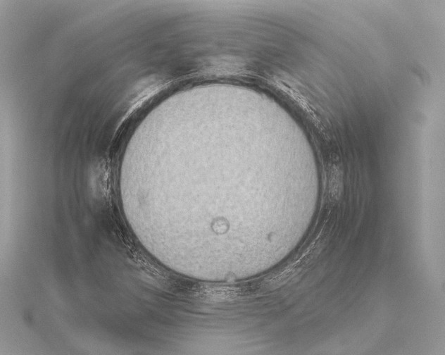 X0000115641258200912011454