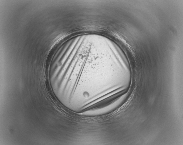 X0000115641259200912011454