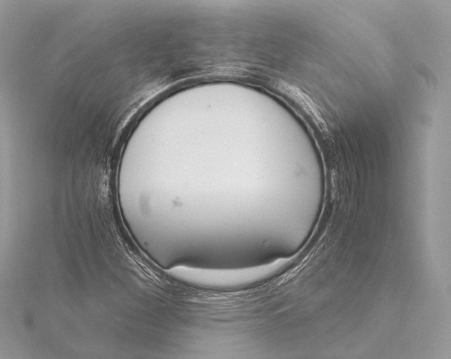 X0000115641260200912011454