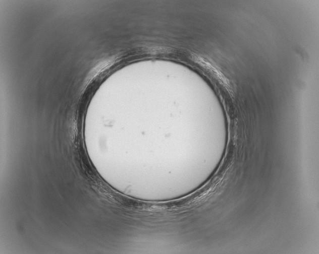 X0000115641261200912011454