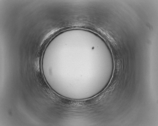 X0000115641262200912011454