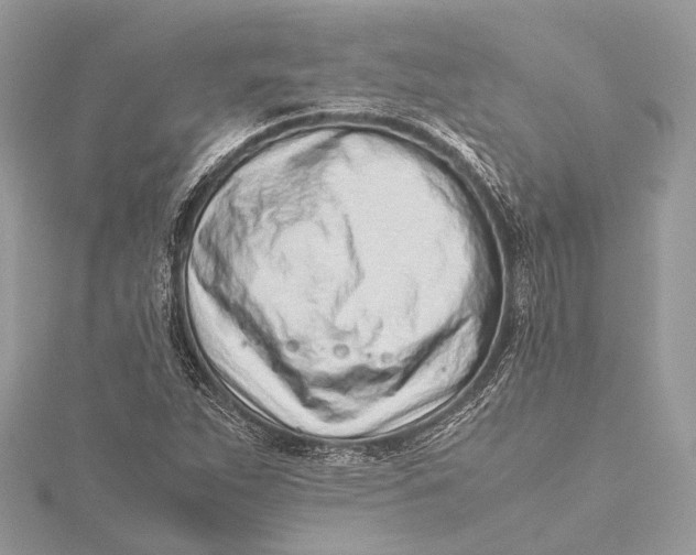 X0000115641263200912011454