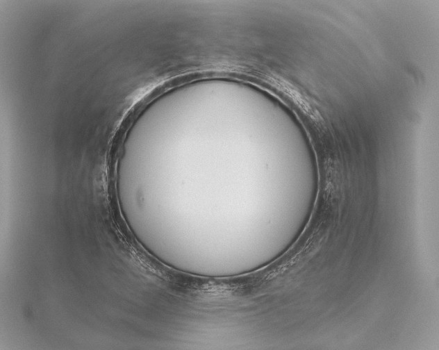 X0000115641264200912011454