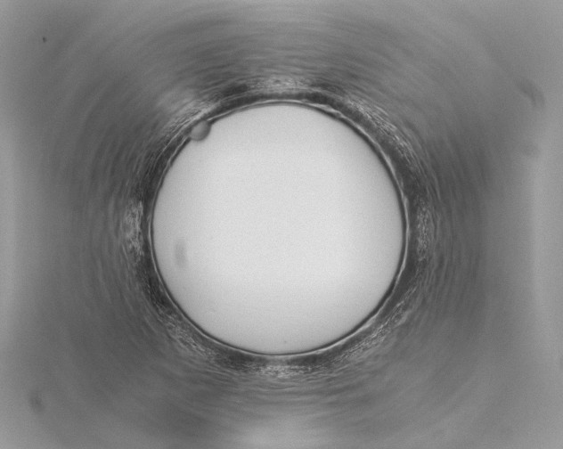 X0000115641265200912011454