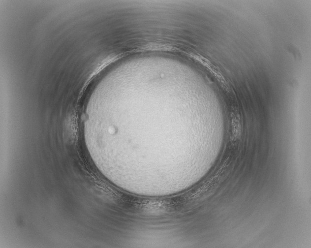 X0000115641266200912011454