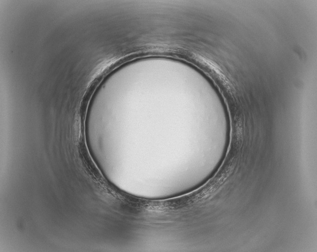 X0000115641267200912011454