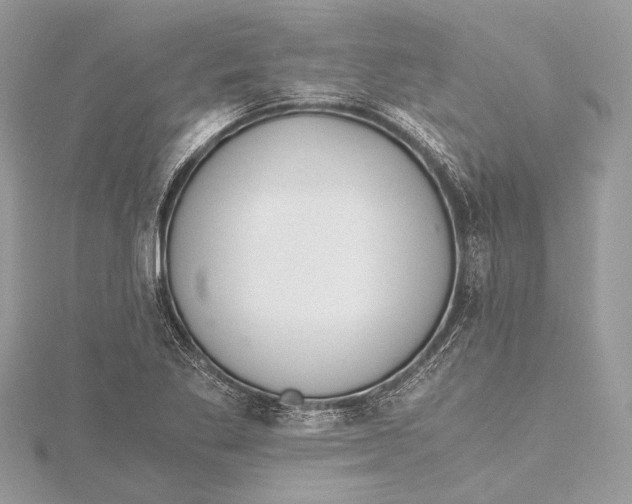 X0000115641269200912011454