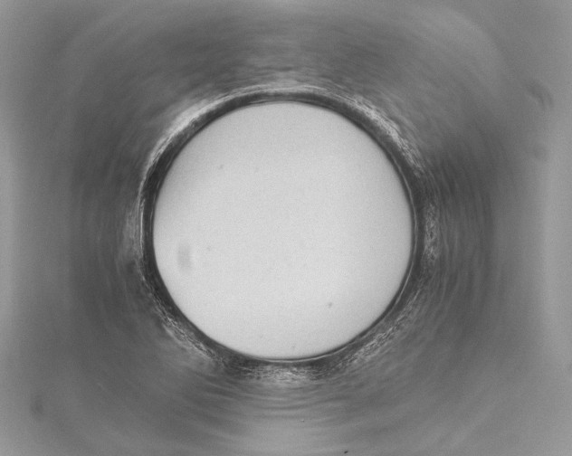 X0000115641270200912011454